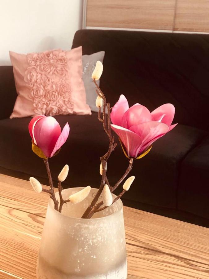 Apartament Matejki II - Unique Apartments 什切青 外观 照片